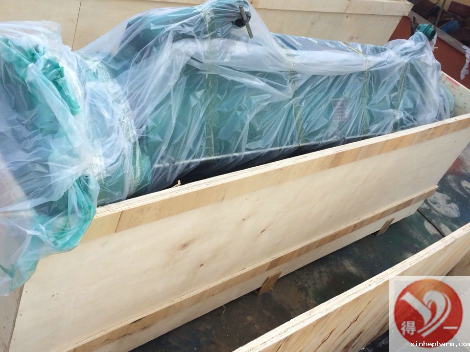 xinhepharm起重生产的电动葫芦装箱过程实拍