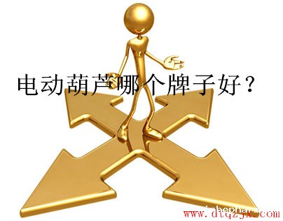 电动葫芦哪个牌子好