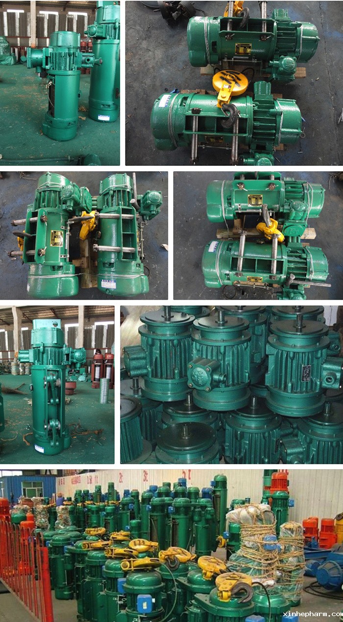 钢丝绳电动葫芦