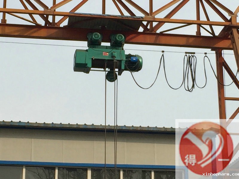 钢丝绳电动葫芦